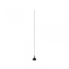 N1